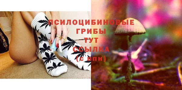 амф Липки